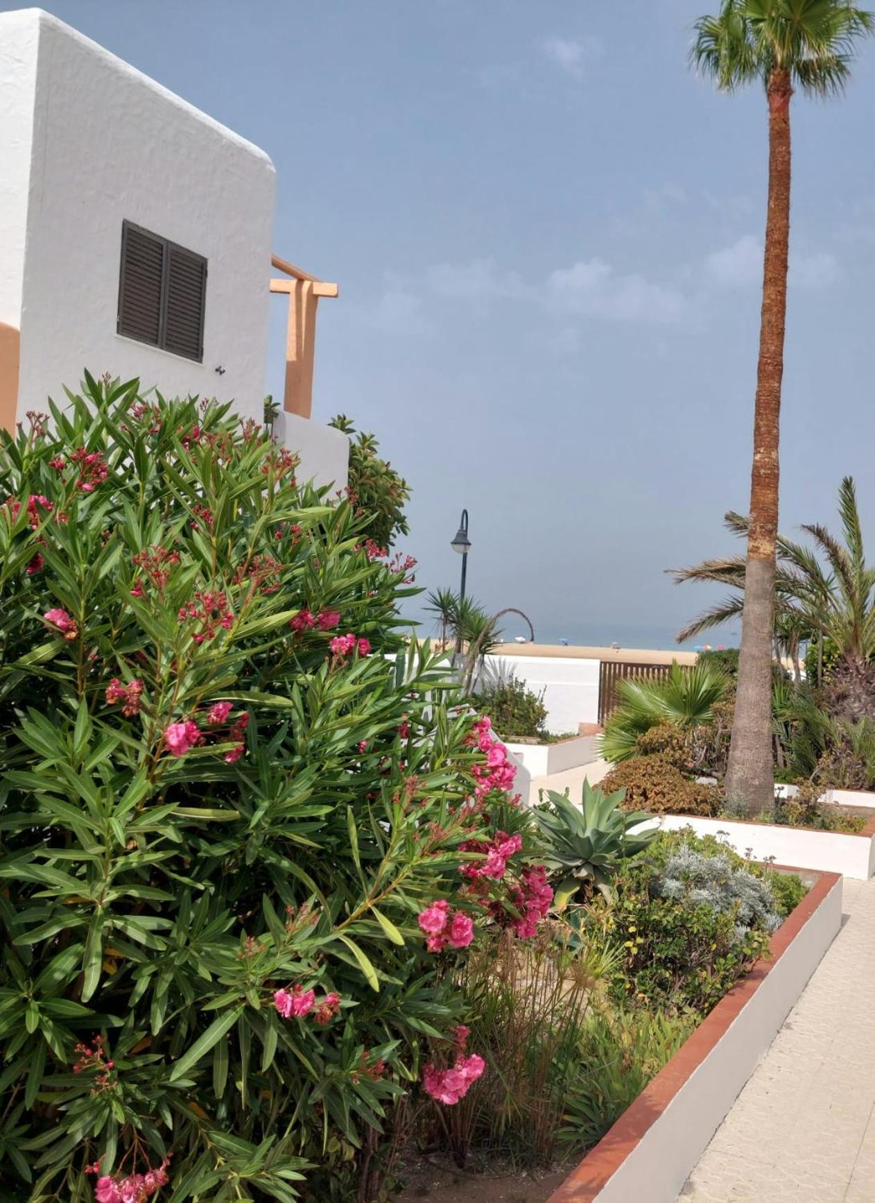 Апартаменты Piscina, Wifi, Patio Con Vistas Тарифа Экстерьер фото